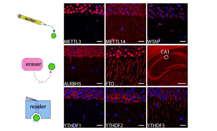 59f856d08787a11d8349c7c98b4580e8
